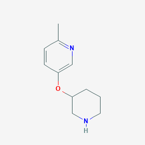 molecular formula C11H16N2O B2914446 6-Methyl-3-pyridinyl 3-piperidinyl ether CAS No. 946681-30-7