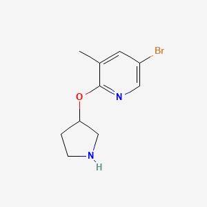 molecular formula C10H13BrN2O B2915125 5-Bromo-3-methyl-2-(pyrrolidin-3-yloxy)pyridine CAS No. 1289269-60-8