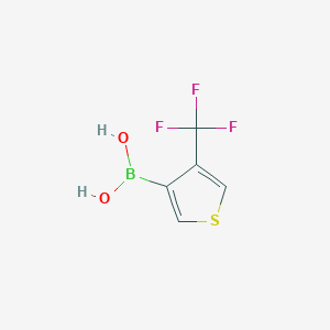 molecular formula C5H4BF3O2S B2915236 [4-(Trifluoromethyl)thiophen-3-yl]boronic acid CAS No. 2246717-07-5