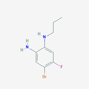molecular formula C9H12BrFN2 B2915760 4-bromo-5-fluoro-1-N-propylbenzene-1,2-diamine CAS No. 1498605-64-3