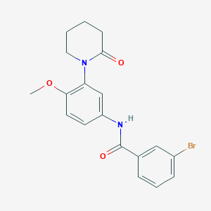 molecular formula C19H19BrN2O3 B2916045 3-bromo-N-(4-methoxy-3-(2-oxopiperidin-1-yl)phenyl)benzamide CAS No. 941873-40-1