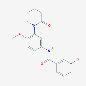 molecular formula C19H19BrN2O3 B2916045 3-溴-N-(4-甲氧基-3-(2-氧代哌啶-1-基)苯基)苯甲酰胺 CAS No. 941873-40-1