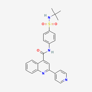 molecular formula C25H24N4O3S B2916162 N-[4-(叔丁基磺酰基)苯基]-2-(吡啶-4-基)喹啉-4-甲酰胺 CAS No. 879920-97-5