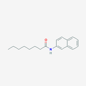 molecular formula C18H23NO B291625 N-(2-naphthyl)octanamide 