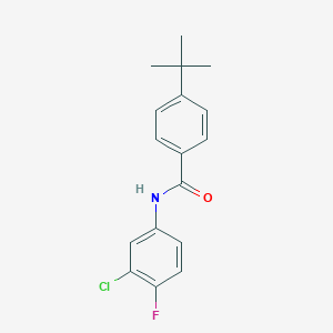 molecular formula C17H17ClFNO B291652 4-tert-butyl-N-(3-chloro-4-fluorophenyl)benzamide 
