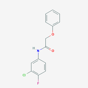 molecular formula C14H11ClFNO2 B291655 N-(3-chloro-4-fluorophenyl)-2-phenoxyacetamide 
