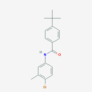 molecular formula C18H20BrNO B291672 N-(4-bromo-3-methylphenyl)-4-tert-butylbenzamide 