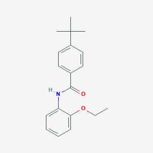 4-tert-butyl-N-(2-ethoxyphenyl)benzamide