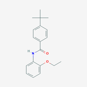 molecular formula C19H23NO2 B291682 4-tert-butyl-N-(2-ethoxyphenyl)benzamide 