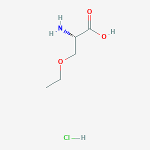 molecular formula C5H12ClNO3 B2917263 (S)-2-Amino-3-ethoxy-propionic acid hydrochloride CAS No. 1311380-50-3; 4775-82-0