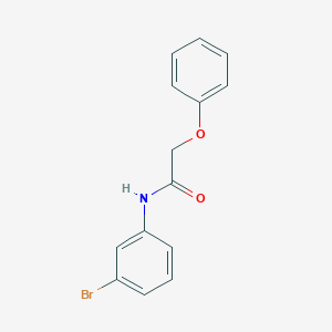 molecular formula C14H12BrNO2 B291824 N-(3-bromophenyl)-2-phenoxyacetamide 