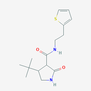 molecular formula C15H22N2O2S B2918246 4-叔丁基-2-氧代-N-[2-(噻吩-2-基)乙基]吡咯烷-3-甲酰胺 CAS No. 2097864-98-5