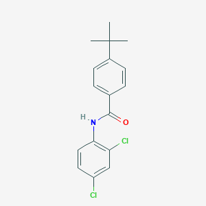 molecular formula C17H17Cl2NO B291903 4-tert-butyl-N-(2,4-dichlorophenyl)benzamide 