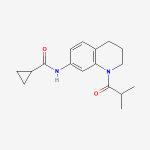 molecular formula C17H22N2O2 B2919084 N-(1-isobutyryl-1,2,3,4-tetrahydroquinolin-7-yl)cyclopropanecarboxamide CAS No. 1005301-24-5