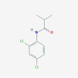 molecular formula C10H11Cl2NO B291910 N-(2,4-dichlorophenyl)-2-methylpropanamide 