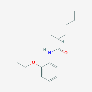 molecular formula C16H25NO2 B291911 N-(2-ethoxyphenyl)-2-ethylhexanamide 