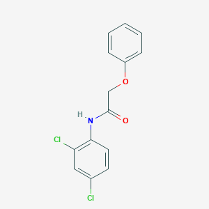 molecular formula C14H11Cl2NO2 B291918 N-(2,4-dichlorophenyl)-2-phenoxyacetamide 