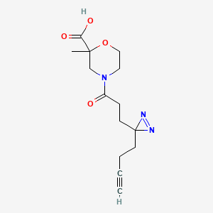 4-[3-(3-But-3-ynyldiazirin-3-yl)propanoyl]-2-methylmorpholine-2-carboxylic acid