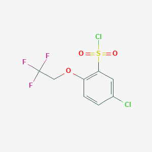 5-Chloro-2-(2,2,2-trifluoroethoxy)benzene-1-sulfonyl chloride