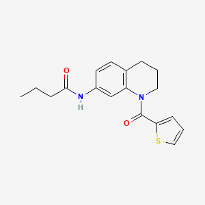 N-[1-(2-thienylcarbonyl)-1,2,3,4-tetrahydroquinolin-7-yl]butanamide