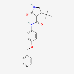 molecular formula C22H26N2O3 B2921384 N-[4-(benzyloxy)phenyl]-4-tert-butyl-2-oxopyrrolidine-3-carboxamide CAS No. 2097897-22-6