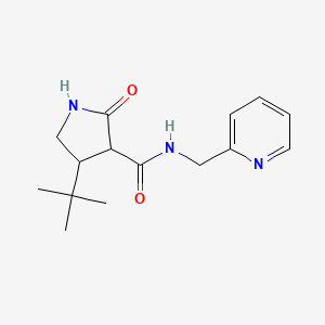 molecular formula C15H21N3O2 B2921922 4-叔丁基-2-氧代-N-[(吡啶-2-基)甲基]吡咯烷-3-甲酰胺 CAS No. 2097923-88-9