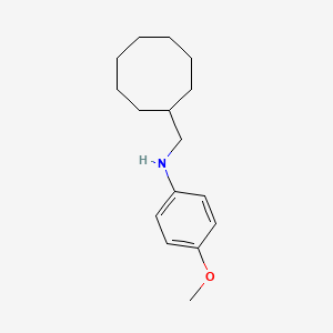 molecular formula C16H25NO B2922710 N-(cyclooctylmethyl)-4-methoxyaniline CAS No. 1397208-73-9