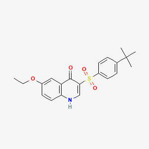 3-(4-tert-butylphenyl)sulfonyl-6-ethoxy-1H-quinolin-4-one