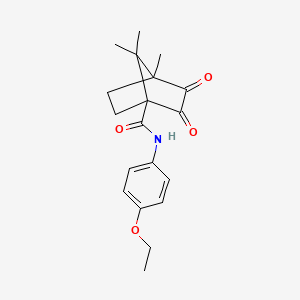 N-(4-ETHOXYPHENYL)-4,7,7-TRIMETHYL-2,3-DIOXOBICYCLO[2.2.1]HEPTANE-1-CARBOXAMIDE