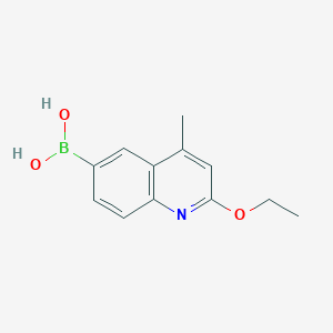 (2-Ethoxy-4-methylquinolin-6-yl)boronic acid