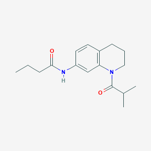 N-(1-isobutyryl-1,2,3,4-tetrahydroquinolin-7-yl)butanamide