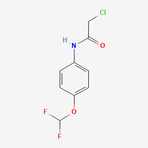 molecular formula C9H8ClF2NO2 B2927368 2-氯-N-[4-(二氟甲氧基)苯基]乙酰胺 CAS No. 554440-01-6
