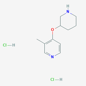 3-Methyl-4-(piperidin-3-yloxy)pyridine dihydrochloride