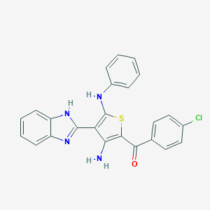 molecular formula C24H17ClN4OS B292920 [3-amino-5-anilino-4-(1H-benzimidazol-2-yl)thien-2-yl](4-chlorophenyl)methanone 