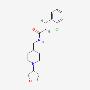 molecular formula C19H25ClN2O2 B2929466 (E)-3-(2-氯苯基)-N-((1-(四氢呋喃-3-基)哌啶-4-基)甲基)丙烯酰胺 CAS No. 2034996-99-9