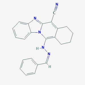molecular formula C23H19N5 B293037 11-(2-Benzylidenehydrazino)-7,8,9,10-tetrahydrobenzimidazo[1,2-b]isoquinoline-6-carbonitrile 