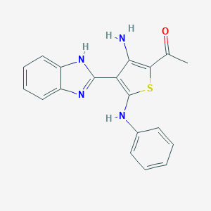 molecular formula C19H16N4OS B293061 1-[3-amino-5-anilino-4-(1H-benzimidazol-2-yl)-2-thienyl]ethanone 