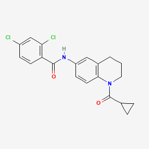 2,4-dichloro-N-[1-(cyclopropanecarbonyl)-3,4-dihydro-2H-quinolin-6-yl]benzamide