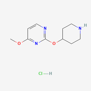 molecular formula C10H16ClN3O2 B2931814 4-Methoxy-2-(piperidin-4-yloxy)pyrimidine hydrochloride CAS No. 1713162-80-1