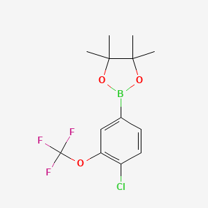 4-Chloro-3-(trifluoromethoxy)phenylboronic acid pinacol ester