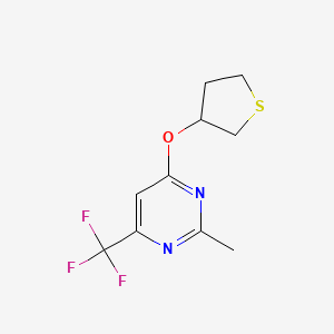 2-Methyl-4-(thiolan-3-yloxy)-6-(trifluoromethyl)pyrimidine