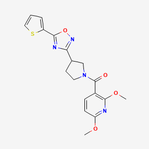 molecular formula C18H18N4O4S B2935566 (2,6-Dimethoxypyridin-3-yl)(3-(5-(thiophen-2-yl)-1,2,4-oxadiazol-3-yl)pyrrolidin-1-yl)methanone CAS No. 2034412-53-6