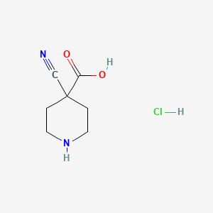 molecular formula C7H11ClN2O2 B2936347 4-Cyanoisonipecotic acid hcl CAS No. 1205750-37-3