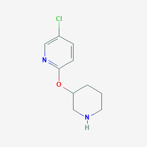 molecular formula C10H13ClN2O B2938625 5-氯-2-(哌啶-3-氧基)吡啶 CAS No. 1250188-27-2