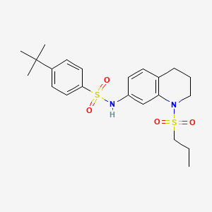 molecular formula C22H30N2O4S2 B2938651 4-tert-butyl-N-[1-(propylsulfonyl)-1,2,3,4-tetrahydroquinolin-7-yl]benzenesulfonamide CAS No. 946226-51-3