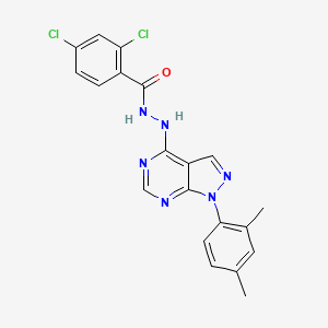 2,4-dichloro-N'-[1-(2,4-dimethylphenyl)-1H-pyrazolo[3,4-d]pyrimidin-4-yl]benzohydrazide
