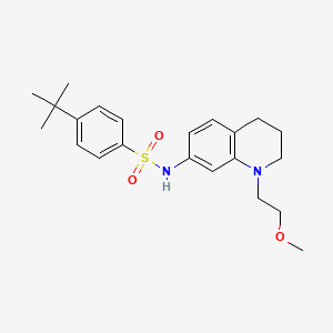 molecular formula C22H30N2O3S B2940544 4-(tert-butyl)-N-(1-(2-methoxyethyl)-1,2,3,4-tetrahydroquinolin-7-yl)benzenesulfonamide CAS No. 1170530-03-6