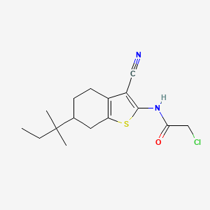 2-chloro-N-[3-cyano-6-(1,1-dimethylpropyl)-4,5,6,7-tetrahydro-1-benzothien-2-yl]acetamide