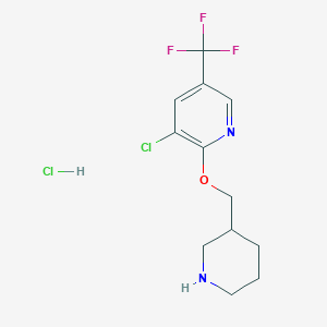molecular formula C12H15Cl2F3N2O B2943600 3-Chloro-2-(piperidin-3-ylmethoxy)-5-(trifluoromethyl)pyridine hydrochloride CAS No. 1417793-17-9
