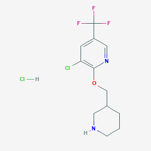 molecular formula C12H15Cl2F3N2O B2943600 3-氯-2-(哌啶-3-基甲氧基)-5-(三氟甲基)吡啶盐酸盐 CAS No. 1417793-17-9